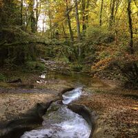 Der Fluss Arvière