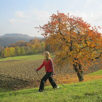 Gossendorf-Runde