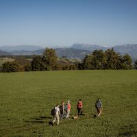 Weg über Feld - Gürbetaler Höhenweg