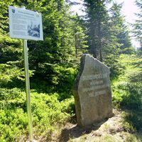 Der Wolfstein am Wildbachsattel