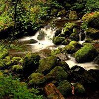 Ravennaschlucht Hinterzarten
