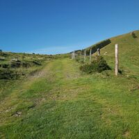 Weg auf der Sommeralm_Naturpark Almenland_Oststeiermark