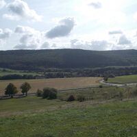 Blick auf den Ibengarten