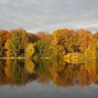Pappelsee im Jahr 2017