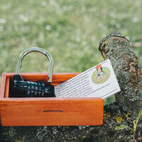 Annis Schwarzwaldgeheimnis