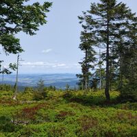 Blick vom Grenzsteig ins Bömische