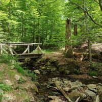 Kurz vor der Sagwassersäge folgt mein Weg über diese Brücke dem Flußkrebs-Wanderweg