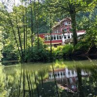 Teich_An den Teichen