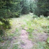 Alpiner Steig Richtung Arzbergalm