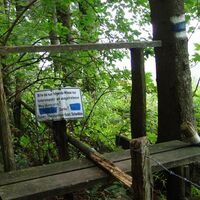 Überstieg Wald Viehweide