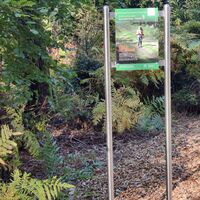 Station am Waldbadepfad Assamstadt