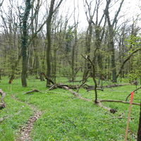 Aufstieg am Eichenleitenberg