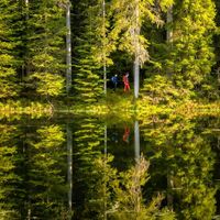 Der Kaltenbachsee ist ein Paradies für Wanderer