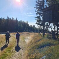 Wanderer, Schaueregg in der Oststeiermark