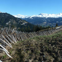 Reiche Kulturlandschaft (Schrägzaun)