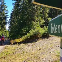 Unterwegs am Kieferle auf dem Totenweg