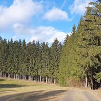 23.7 km Sattel beim Windhagberg