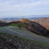 Abstieg Übergang zur Ruine Rabenstein