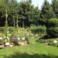 Kräutergarten Dröbischau