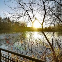 Ommersheimer Weiher