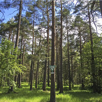 Naturschutzgebiet