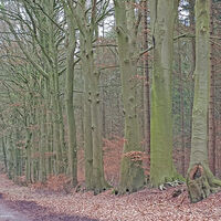 Breite Wege im Hohen Oerel