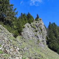 Rückblick auf Abstiegsgelände nach dem Karkopf