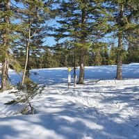 2.1 km Die untere Teufelsteinweise hinauf