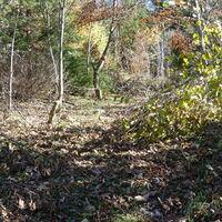 Aufstieg Richtung Handlesberg