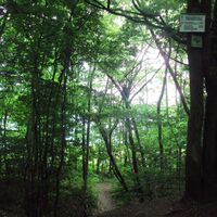 Salzgitter Höhenzug, Wanderweg 17 möglicher Abstecher zum Reihersee