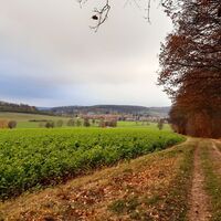 Wanderung Lamspringe Großer Heber