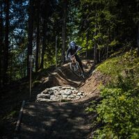 PROlitzen Trail T34