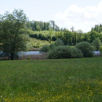 Olsenweiher