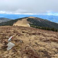Wildeggkogel