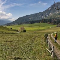 Weiche, weite Landschaft