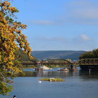 aarebruecke-mit-baeumen-im-herbst