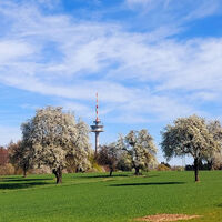 Blick auf den Fernmeldeturm Grünwettersbach