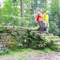 Das ehemalige Schafott liegt mitten im Wald