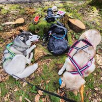 Wanderung Oberwarngau Taubenberg