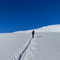 Kurz vor dem Gipfel der Gaipahöhe