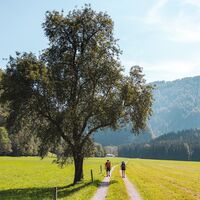Griesenau_Kaiserkrone_Etappe 4_Wilder Kaiser