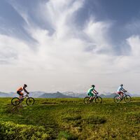 Sommer_MTB-Tours_SW01_7.jpg