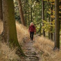 Unterwegs auf dem Kahler Asten-Steig
