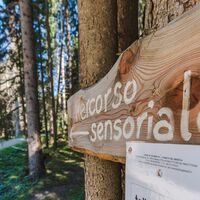 Sensorischer Pfad Schlamm ©Archivio APT Val di Fassa
