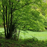 Hochsitz im Clauser Tal