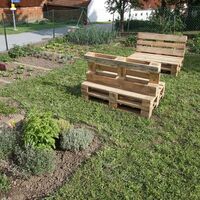 Kraut-Funding &amp; Seed-Bombing