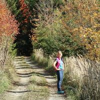 Herbststimmung im Wald