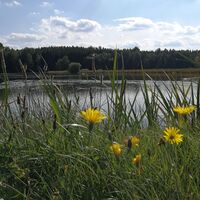 Von Köthnitz zu den Wolcheteichen