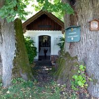 Zwei verlässliche Baumwächter im Henndorfer Ortsteil Enzing. Die rechte Linde wird auf 280 Jahre geschätzt.