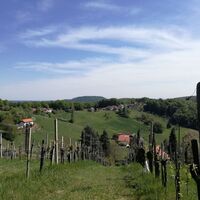 Ausblick vom Rosenberg in Richtung Bad Radkersburg und Tieschen